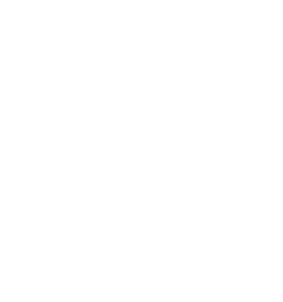 The Cleaning Box